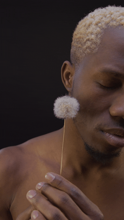 The Truth - Raw Truth Lip Bundle