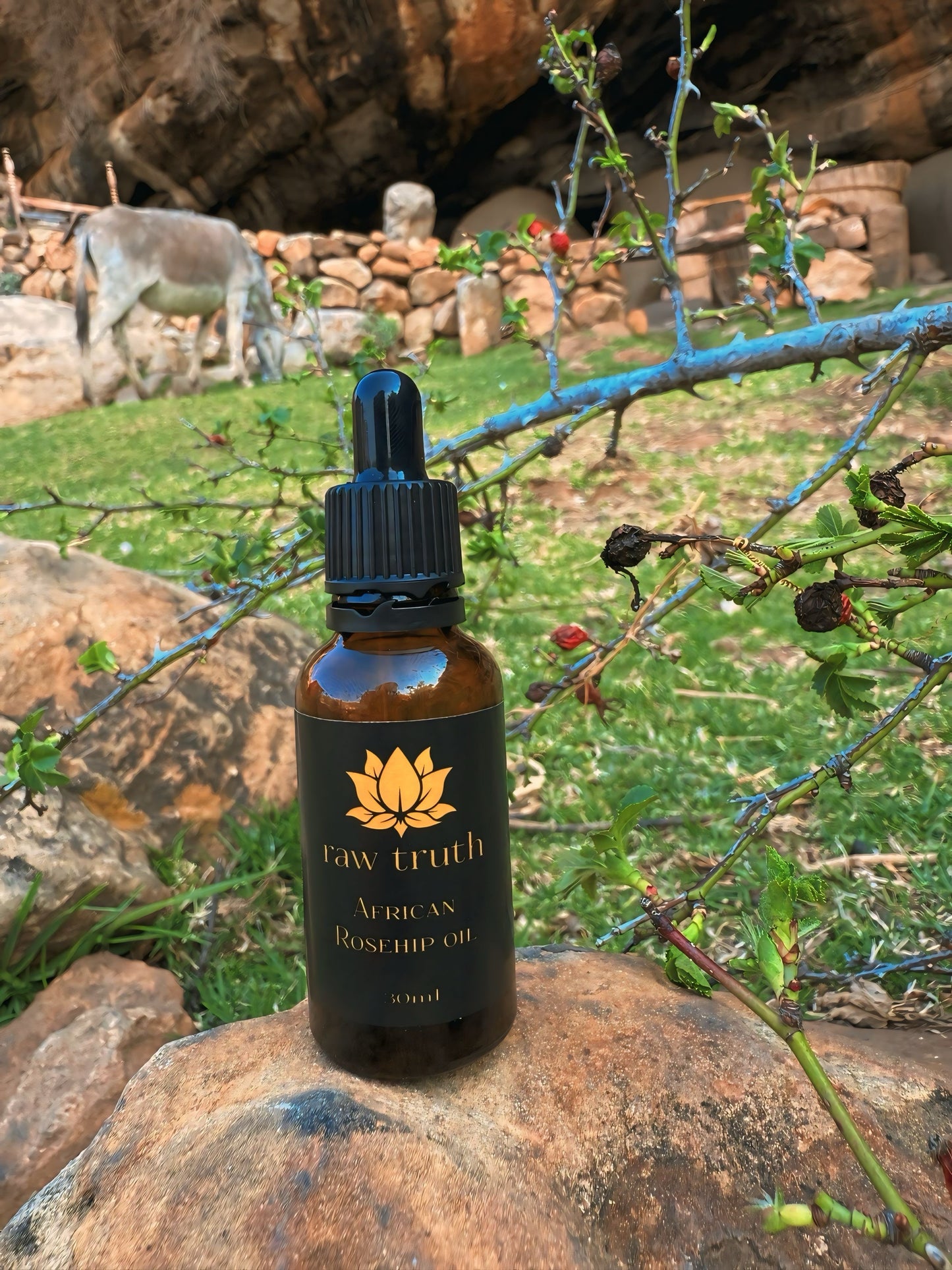 Ancient African Rosehip Oil - Lesotho